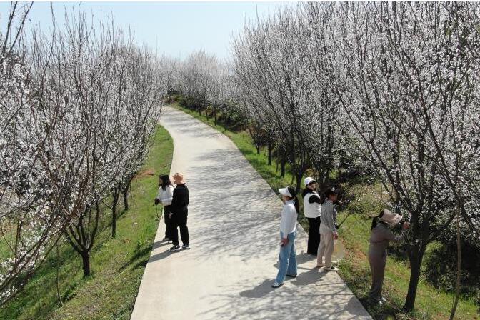城關鎮：和美鄉村入畫來